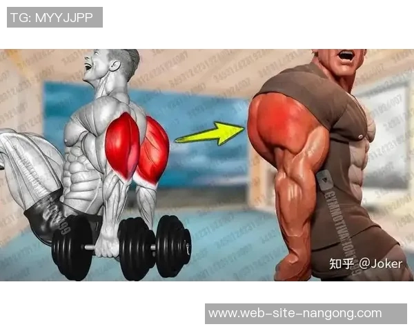 有效提升三头肌力量的哑铃锻炼方法与技巧分享